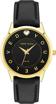 Часы Anne Klein Considered 3868GPBK